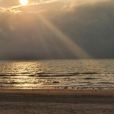 Scheveningen Sea Side Bed and Breakfast Χάγη Εξωτερικό φωτογραφία