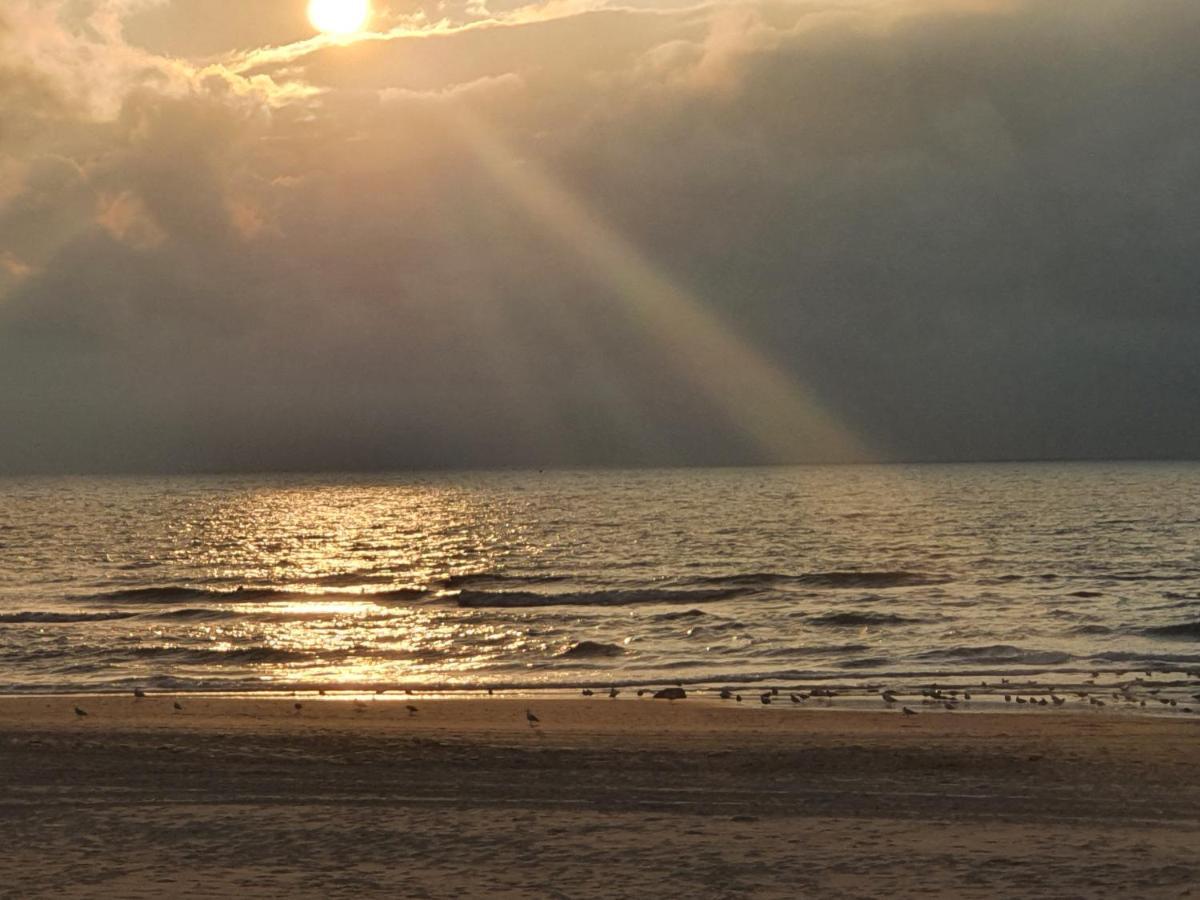 Scheveningen Sea Side Bed and Breakfast Χάγη Εξωτερικό φωτογραφία